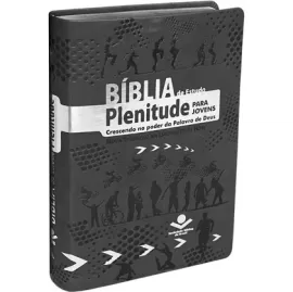 Bblia de Estudo Plenitude para Jovens NTLH