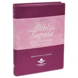 Bblia Sagrada Letra Extragigante ROSA/VINHO