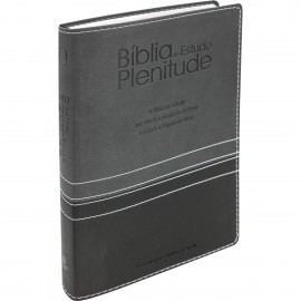 Bblia de Estudo Plenitude - RA PT/CINZA AST
