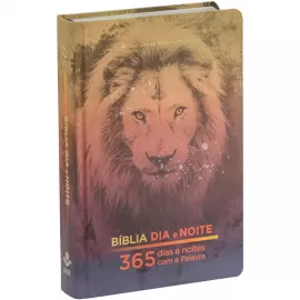 Bblia Dia e Noite 365 na Palavra capa Dura Leo NAA
