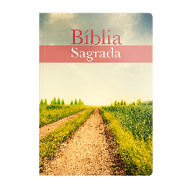 Bblia Acf Evangelize Letra Normal Brochura Neutra
