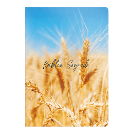 Bblia NVT Evangelize Letra Normal Brochura Trigo